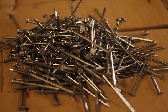 Common Nails