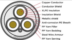 Cross-linked Polyethylene (XLPE).