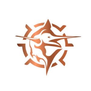 AMIT International Group