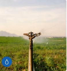 Irrigation