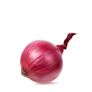 بصل
