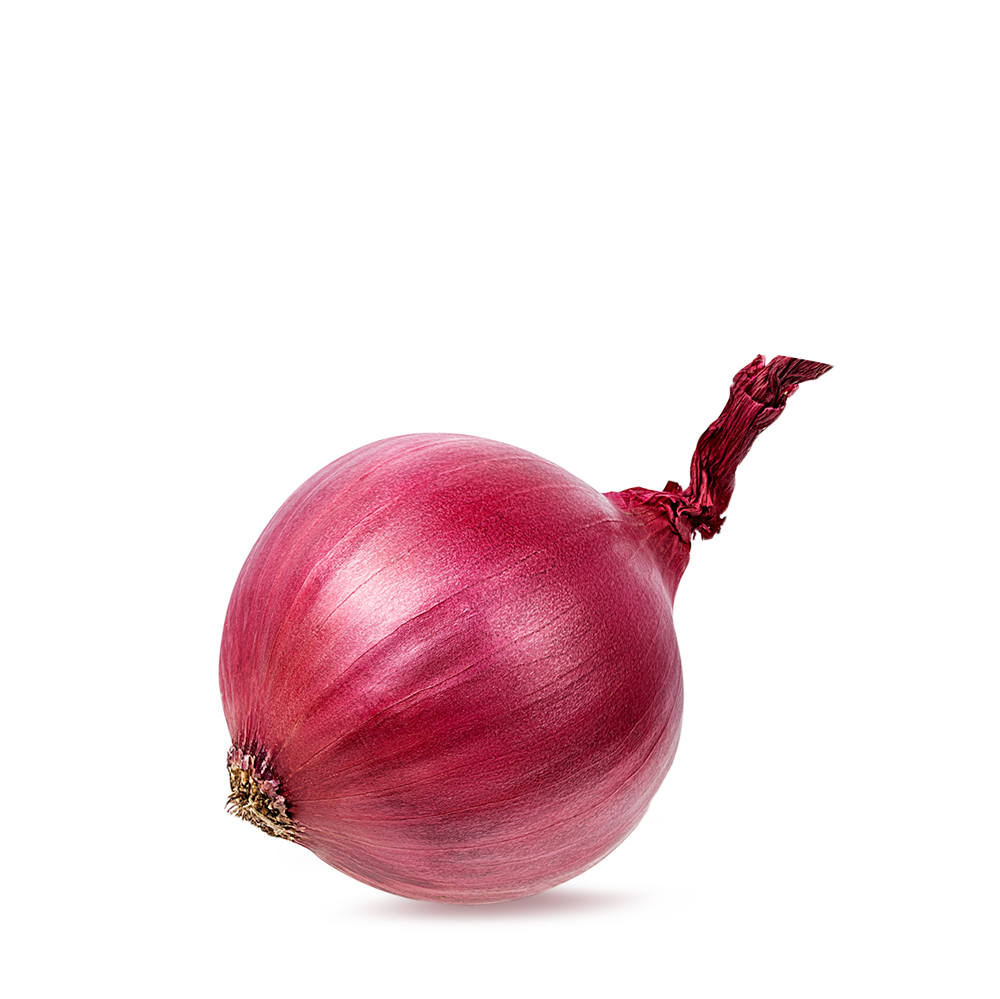 بصل