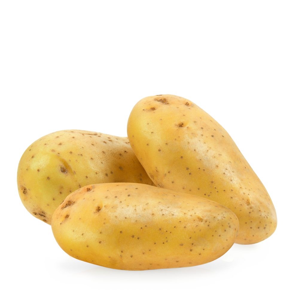 بطاطا